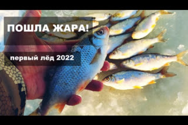Даркнет сайт скачать