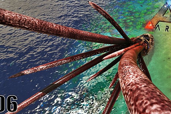 Kraken 5 at